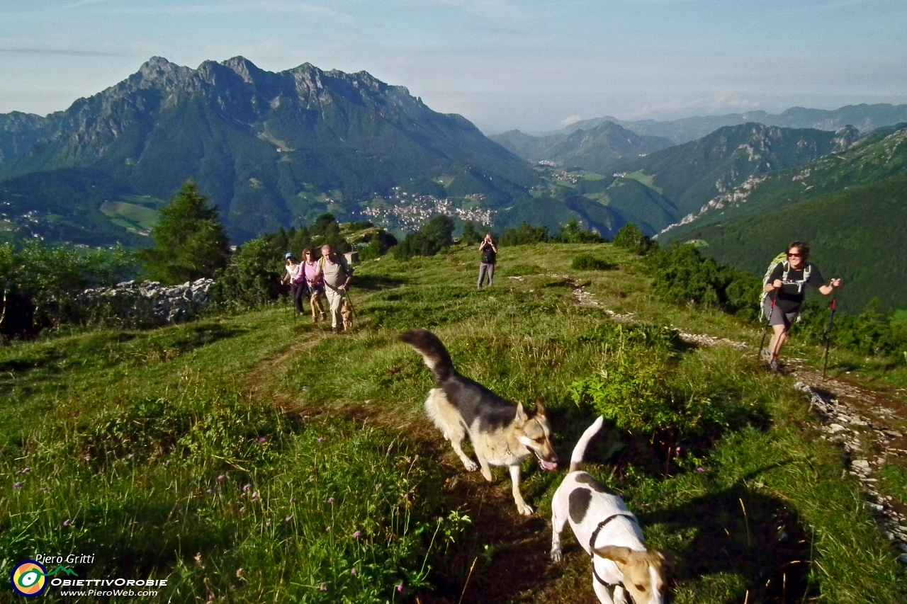 01 Sul sentiero 221 (Alpe Arera - Capanna 2000) .JPG